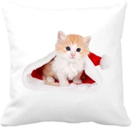 Vankúš CAT STAR HAT VIANOCE Mikulášsky darček, VIANOCE Vankúš CAT STAR HAT VIANOCE Mikulášsky darček, VIANOCE