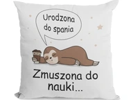 VANKÚŠ NARODENÝ NA SPANIE, NÚTENÝ SA UČIŤ VANKÚŠ NARODENÝ NA SPANIE, NÚTENÝ SA UČIŤ