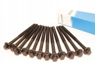 Skrutka hlavy VOLVO C30 S40 V50 V70 XC70 2,4 D D5 Skrutka hlavy VOLVO C30 S40 V50 V70 XC70 2,4 D D5