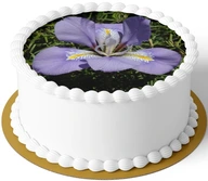 WAFLOVÝ PAPIER IRIS IRIS FLOWERS KVET 22-29CM WAFLOVÝ PAPIER IRIS IRIS FLOWERS KVET 22-29CM