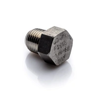 1/2'' zástrčka NPT, nehrdzavejúca oceľ 316L 1/2'' zástrčka NPT, nehrdzavejúca oceľ 316L