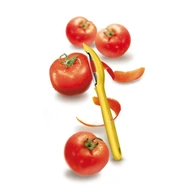 Victorinox škrabka 7.6075.8, univerzálna Victorinox škrabka 7.6075.8, univerzálna