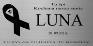 GRAVEN TANIERE GRAVEN PLATE GRAVEN OCELE TALE PSA STUŽKA GRAVEN TANIERE GRAVEN PLATE GRAVEN OCELE TALE PSA STUŽKA