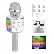 Mikrofón KARAOKE s BT/ MP3/ LED/ SILVER reproduktorom