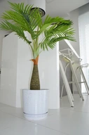 Kvetináč 26 WHITE veľký minimalizmus LOFT moderný Kvetináč 26 WHITE veľký minimalizmus LOFT moderný