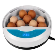 AUTOMATICKÁ LIAHŇA KLUBNÍKOV INKUBÁTOR NA 9 VAJEC AUTOMATICKÁ LIAHŇA KLUBNÍKOV INKUBÁTOR NA 9 VAJEC