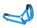 amiplay Halter Basic Bridle Golier S Blue