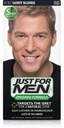 JUST FOR MEN H-10 Grey Blonde H10 odmasťovač
