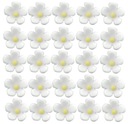 KVETY MINI BIELY CUKR TORTA - 50 KS