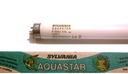 Žiarivka Sylvania Aquastar 15W T8 10 000K G13