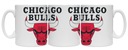 NBA CHICAGO BULLS g