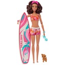 BÁBIKA Barbie SURFER a doplnky