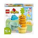 LEGO DUPLO 10981 Pestovanie mrkvy