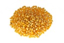 POPCORN KUKURIČNÉ ZRNÁ PRE POPCORN 22,68kg 50lbs