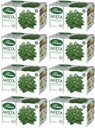 BIFIX Biofix BYLINKOVÝ ČAJ Mätový 20t x8