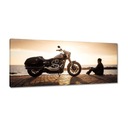 Obrázky 100x40 motocykla Harley Davidson