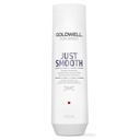 Šampón Goldwell Dualsenses Just Smooth 250 ml