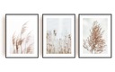 BOHO image prút na suchú trávu 3x 30x40