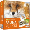 Adamigo Memory Game Fauna Polski