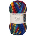 Priadza BRAVO COLOR cca 00080 Melange of Colors