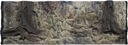 ATG Background Standard 150x60 cm Rocks Root