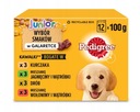 PEDIGREE Junior želé krmivo pre psov 12x100g