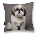 VANKÚŠ so psíkom SHIH TZU shih tzu vankúšik na DARČEK na spanie, mäkký, veľ.