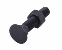 Sada skrutiek nesený pluh D 608 M10x80 mm trieda 10,9 Waryński W-608101080