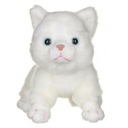 CAT Malé mačiatko plyšové mačiatko maskot biele mačiatko