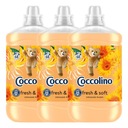 Coccolino Creations Orange Rush aviváž 1,7L sada x3