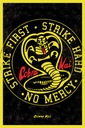 Škola boja Cobra Kai - plagát 61x91,5 cm