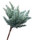 Kytica z vetvičiek zelenej trávy 35 cm