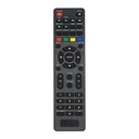 BLAUPUNKT REMOTE BN32H1032EEB BN24H1032 BN50U2042