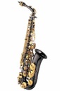 J. MICHAEL AL-800BL ALTO SAXOPHONE s puzdrom