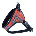 Champion Harness páska 50 comfort Shih Tzu