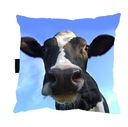 VANKÚŠ s KRAVOU KRAVOU 40x40 na spanie ako DARČEK