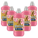 Aviváž Coccolino Creations Sandalwood SET x5