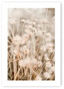 Boho grass béžový plagát A1 59,4x84,1 cm #20D