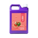 BUBLINOVÝ ČAJ SIRUP 2,5 KG KONCENTRÁTU ŠŤAVY Z VODNÉHO MELÓNU
