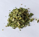 Moringa moringa list Oleifera - 500g - Dary Podlasie