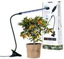 Lampa na rast rastlín Platinet Led Grow Lamp 3W 1300K 60Lm 24xLED 3 režimy
