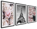 Moderné nástenné plagáty Flowers Paris bez rámu