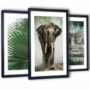3 zarámované plagáty do obývačky cestovný slon 43x99 cm