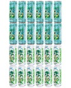 COCONAUT MIX sada kokosovej vody 24 x 320 ml