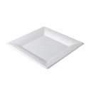 Eko taniere z cukrovej trstiny. 26,2 x 26,2 cm 50 ks.