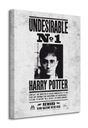 Harry Potter Wanted Maľba na plátne 40x50 cm