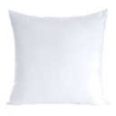 Vankúš páperový 45/45 500g