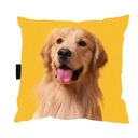 VANKÚŠ so psíkom ZLATÝ RETRIEVER 40x40 DARČEK