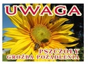 Výstražná tabuľa Riziko uštipnutia 42x29,5 F206