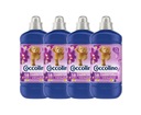 Coccolino Creations filet z orchidey liquid 4x1,45L